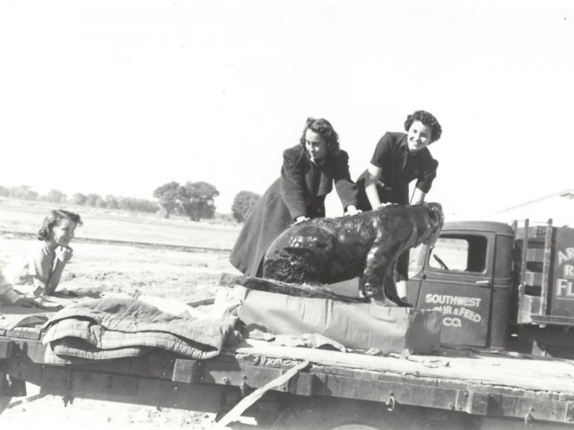 The Birth of Bumstead Phoenix College's Mascot