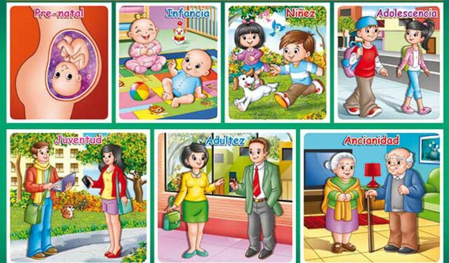 ETAPAS DEL DESARROLLO Craig (1994) y Rice (1997)