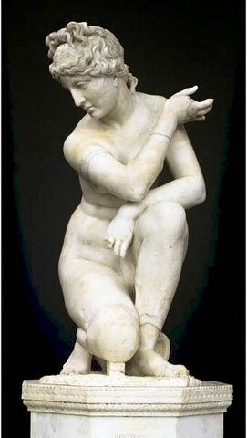 AFRODITE ACCOVACIATA