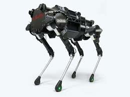 chien electrique de hammond