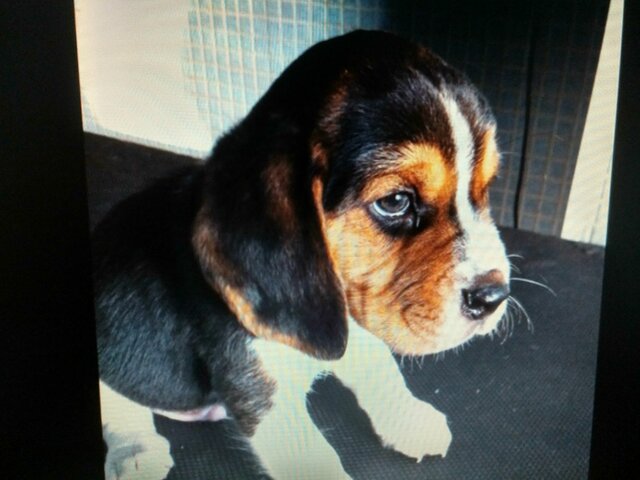 Arribada de l'Earth a la família.