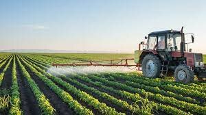 CREACIÓN DE LA POLÍTICA AGRÍCOLA COMÚN (PAC)