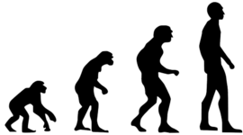 Timeline: Línea de tiempo interactiva