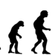 Evolution 2780651 640