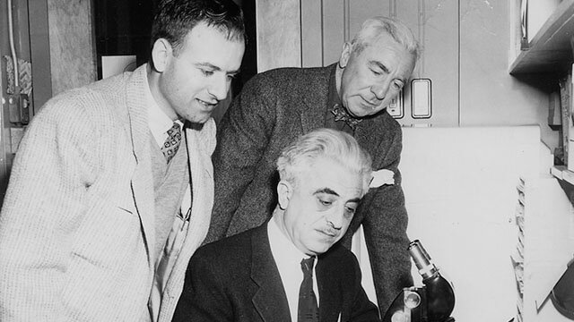 Development of the Birth Control Pill Begins