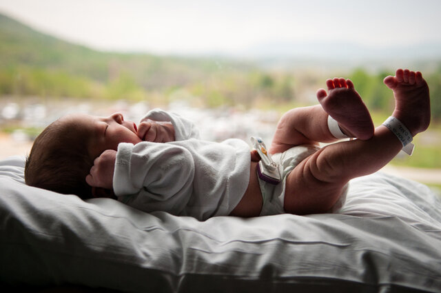 The Birth of Paul Feyerabend