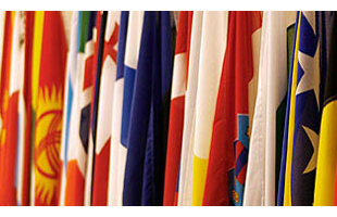 REGLAMENTO SANITARIO INTERNACIONAL SIGLO XXI