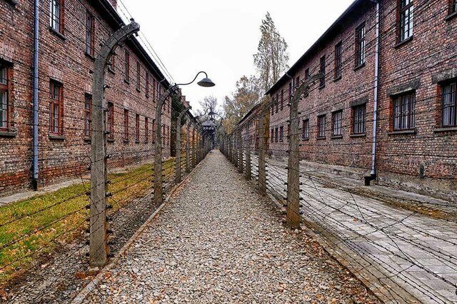 Auschwitz Liberated