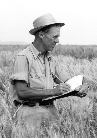 Norman Borlaug