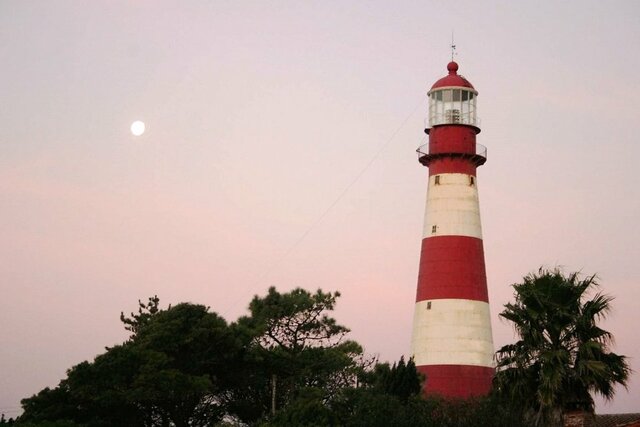 Faro