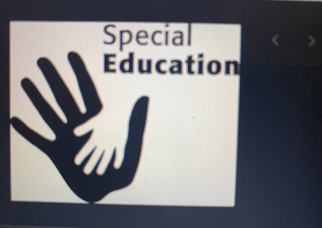 First federal law past about how disability