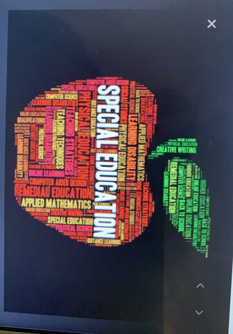 First Disability Class