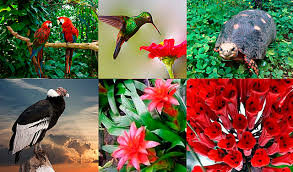 Resolución 1263 de 2006