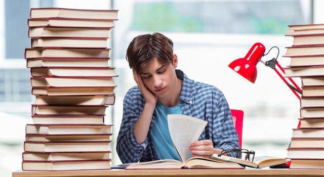 Estudios universitarios