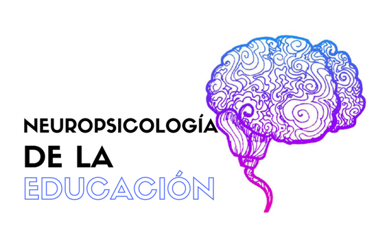 Especialista en Neuropsicología de la Educación