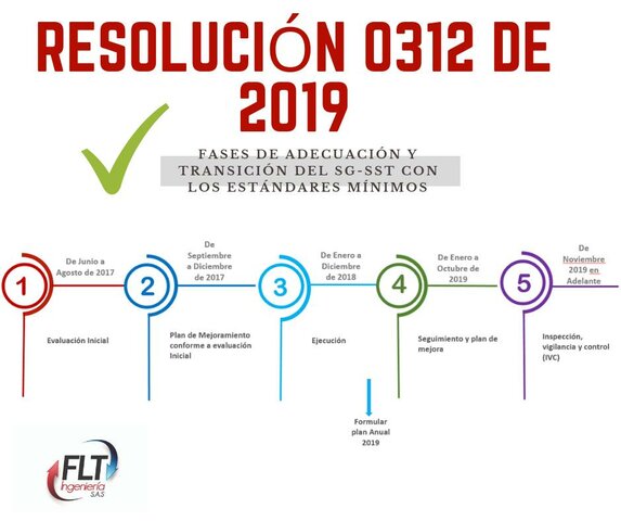 Resolución 0312 de 2019