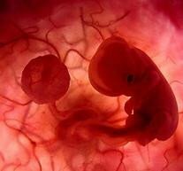 LA INVISIBILIDAD DEL NIÑO