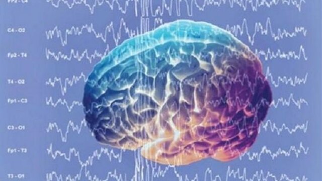 Ludwig von Bertalanffy