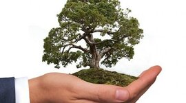 Timeline: Línea de Tiempo: Ecosistemas y ciclos Biogeoquímicos