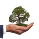 Ecologia