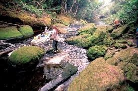 Viajes para reatificar su importancia cultural