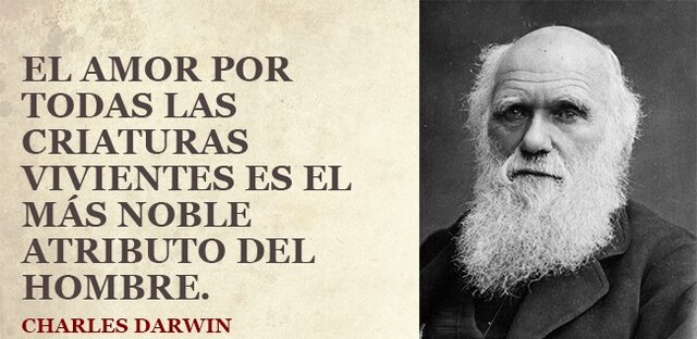 Darwin