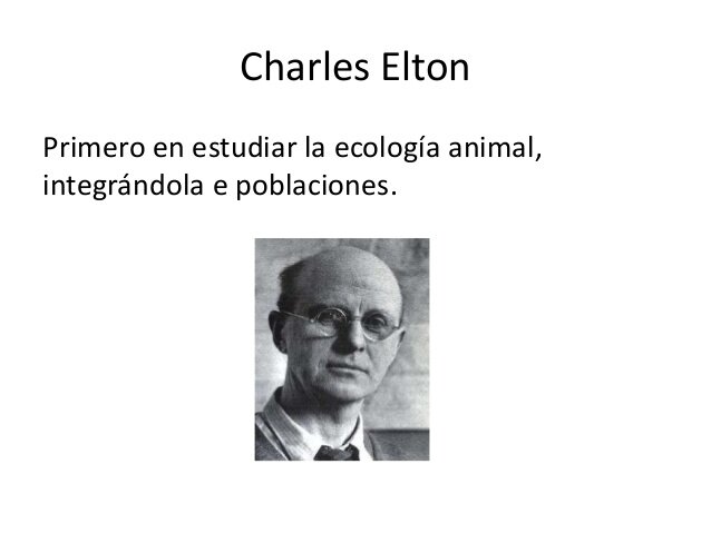 Elton