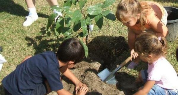 Ecología en la Escuela