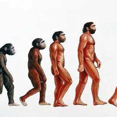 Timeline: L'evoluzione umana