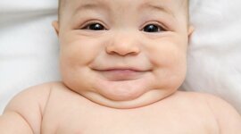 Timeline: Milestones