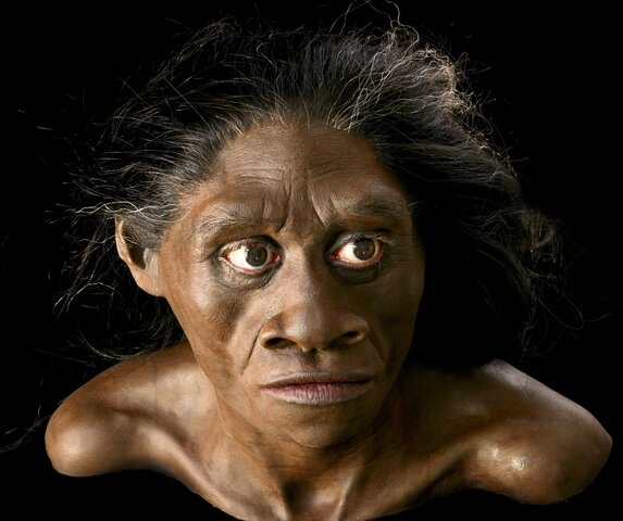 Homo floresiensis