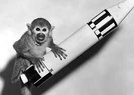 space monkey