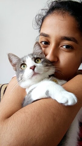 adopte mi primera mascota