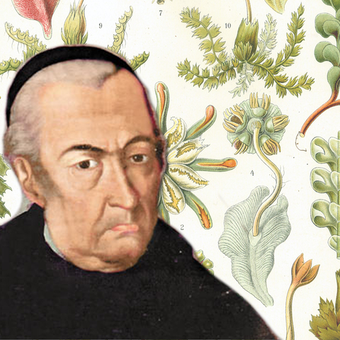José Ceslestino Mutis