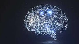 Timeline: Psicofisiologia