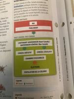 parlementarisme