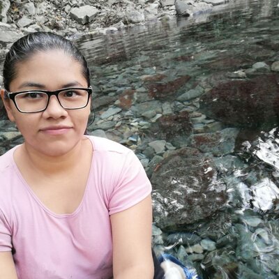 Timeline: Psic. Esther