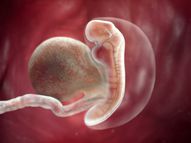 5 Weeks Pregnant