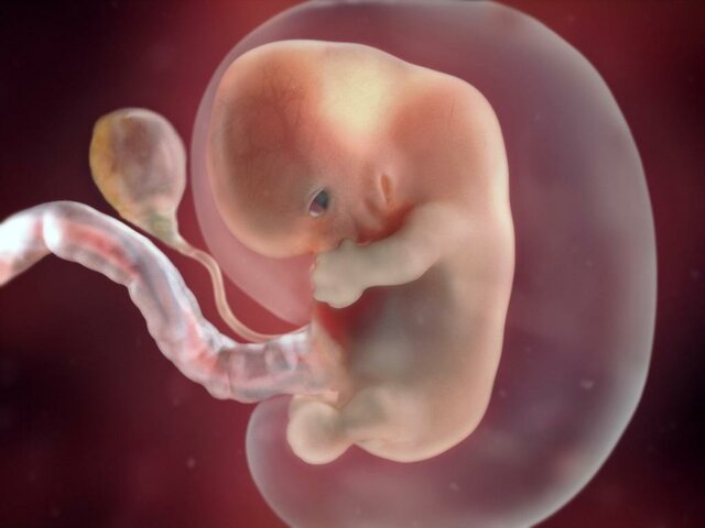 8 Weeks Pregnant
