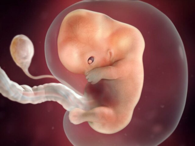 9 Weeks Pregnant