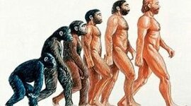 Timeline: EVOLUCIÓN DE LOS HOMÍNIDOS