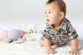 4-6 Months