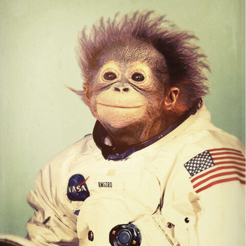 space monkey