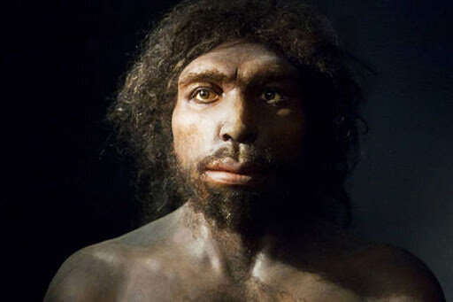 HOMO ANTECESSOR