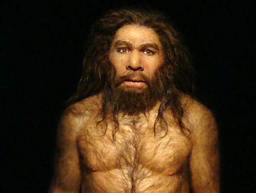 HOMO NEANDERTHALENSIS