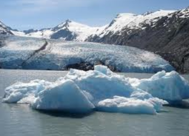 The first exibits were opened