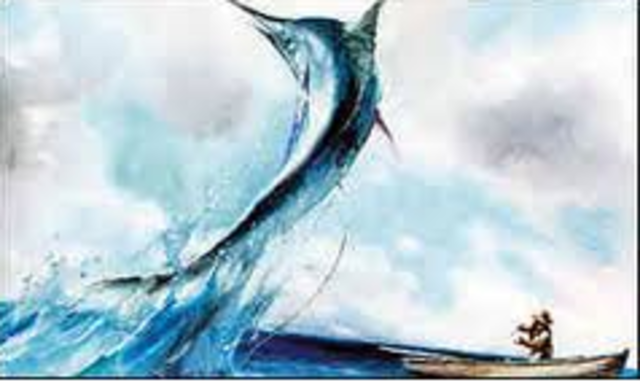 Year 2000 Exhibits and Imax Films