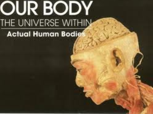 Year 2008 Exhibits and Imax  films