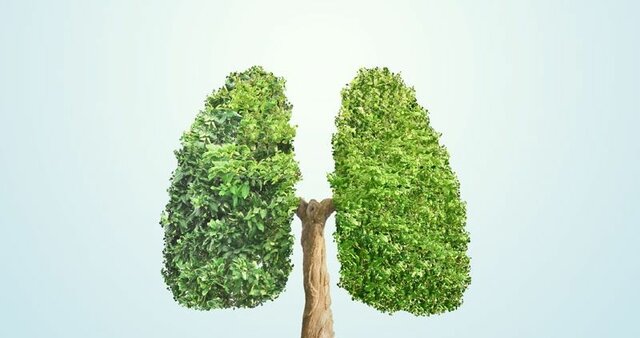 Fortalecimiento de la Política Nacional de Educación Ambiental