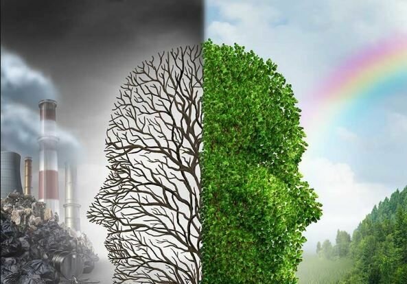 Formulación del Código Nacional Recursos Naturales Renovables y la Protección al Medio Ambiente